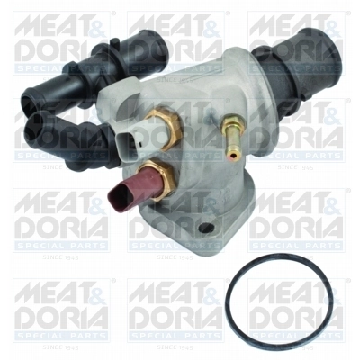 Thermostat, coolant